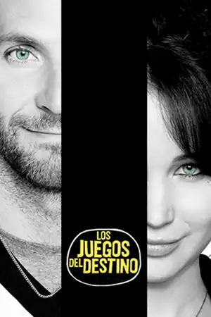 SILVER LININGS PLAYBOOK